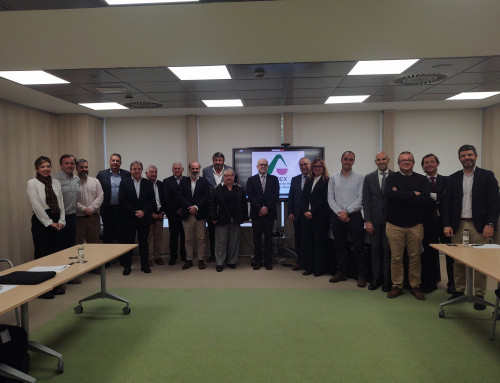 Clausura de la Junta Directiva por parte de Dña. Mª Yolanda Vallés Cases (Directora General de Energía y Minas de Aragón)